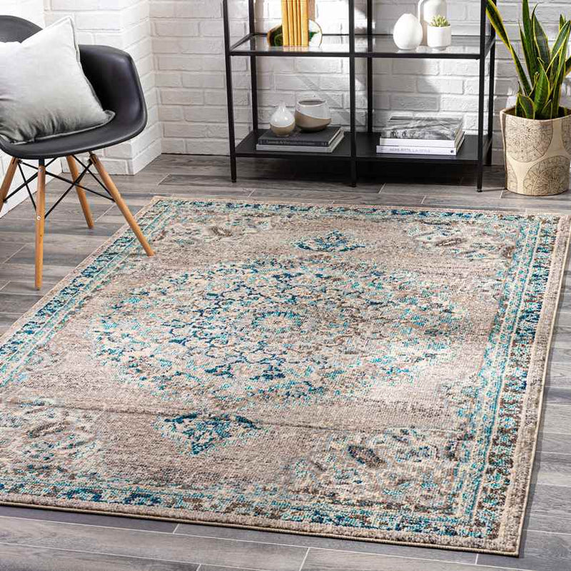 Puteaux Traditional Light Gray Area Rug