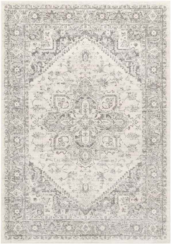 Chartres Traditional Light Gray Area Rug