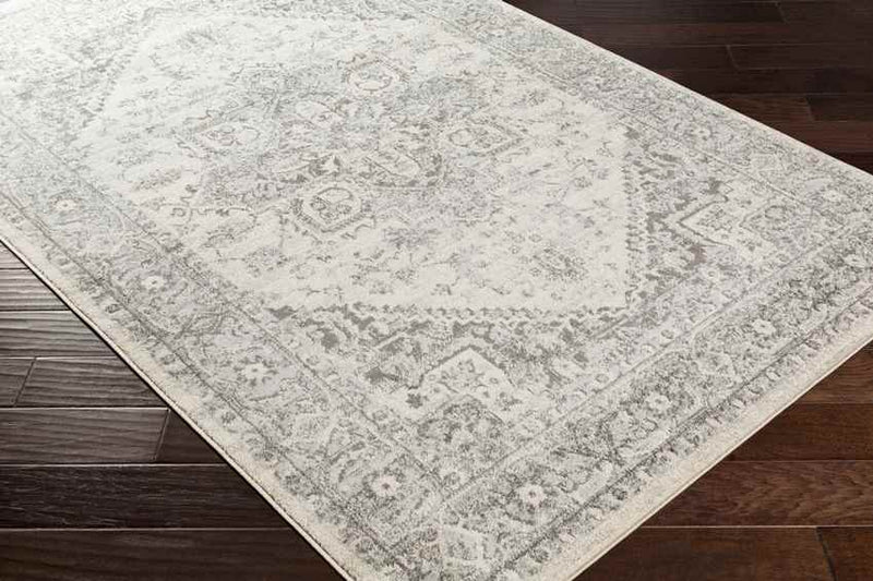 Chartres Traditional Light Gray Area Rug