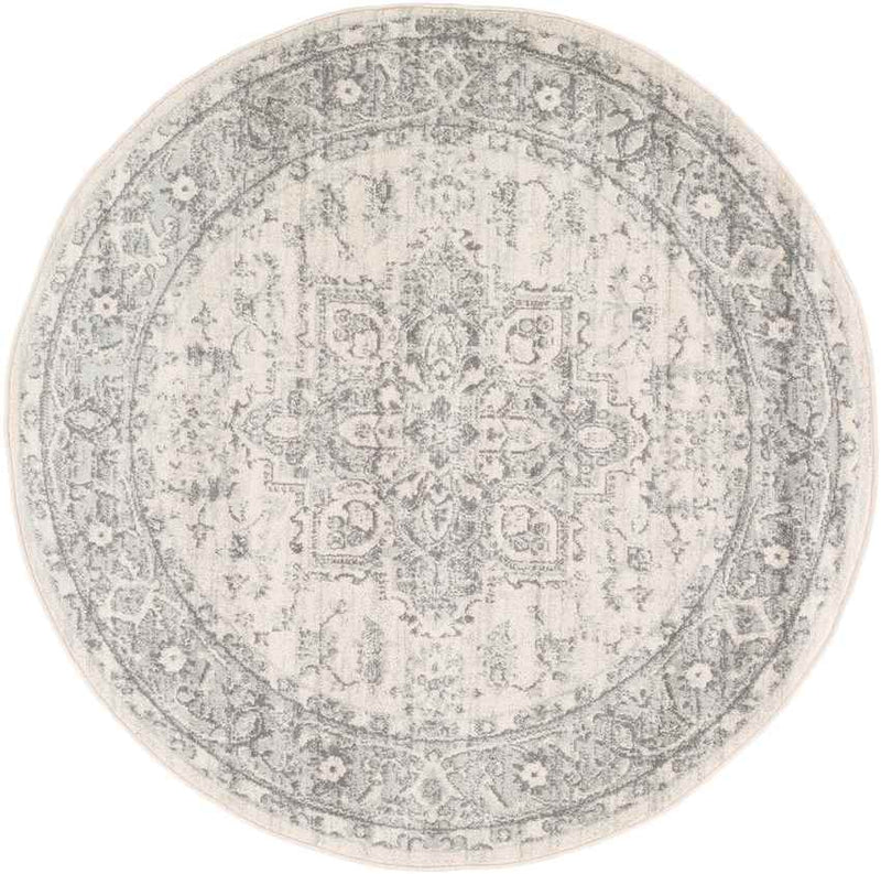 Chartres Traditional Light Gray Area Rug