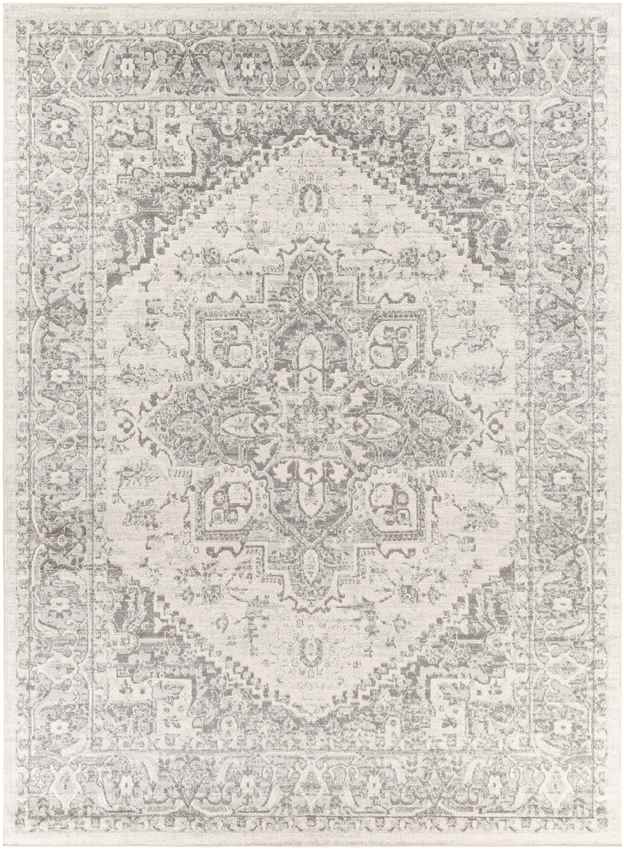 Chartres Traditional Light Gray Area Rug