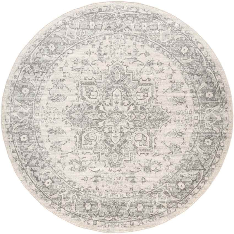 Chartres Traditional Light Gray Area Rug