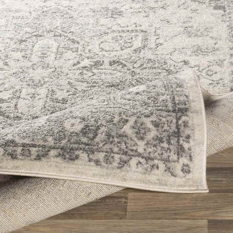 Chartres Traditional Light Gray Area Rug