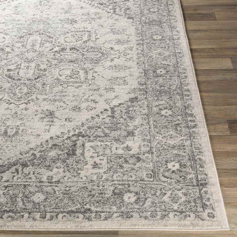 Chartres Traditional Light Gray Area Rug