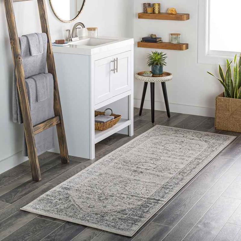 Chartres Traditional Light Gray Area Rug