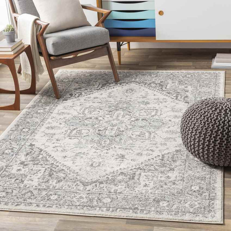 Chartres Traditional Light Gray Area Rug