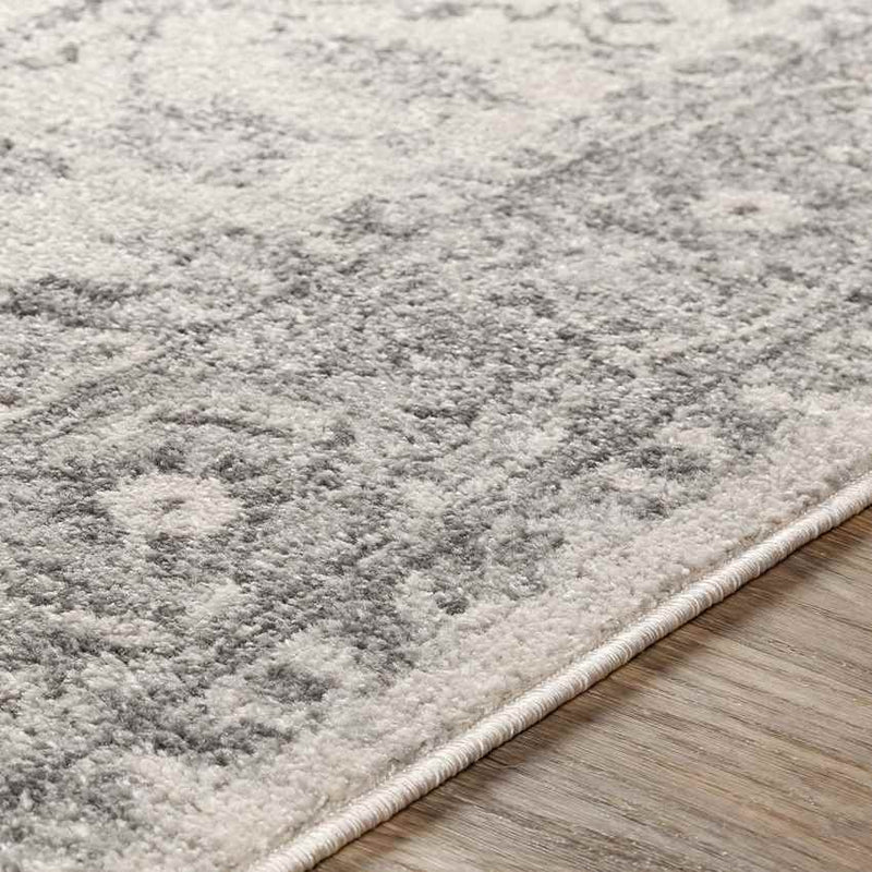 Chartres Traditional Light Gray Area Rug