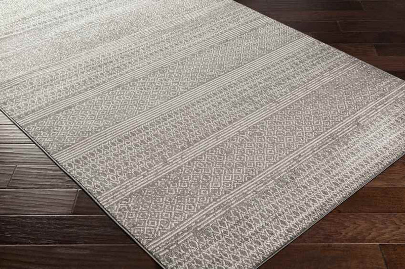 Bagneux Global Medium Gray Area Rug