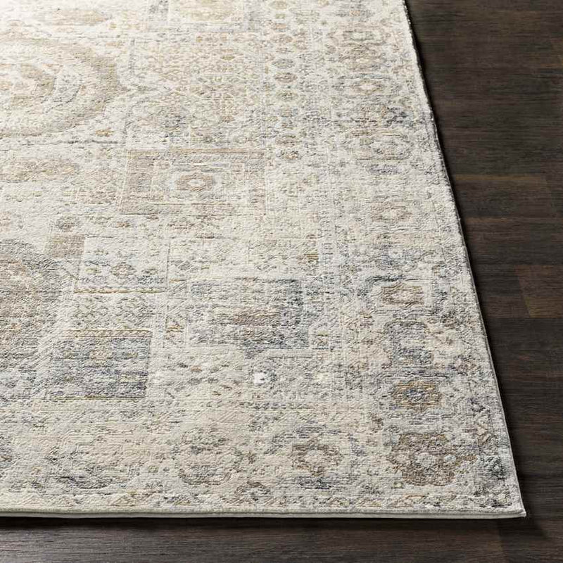 Montlucon Traditional Charcoal Area Rug