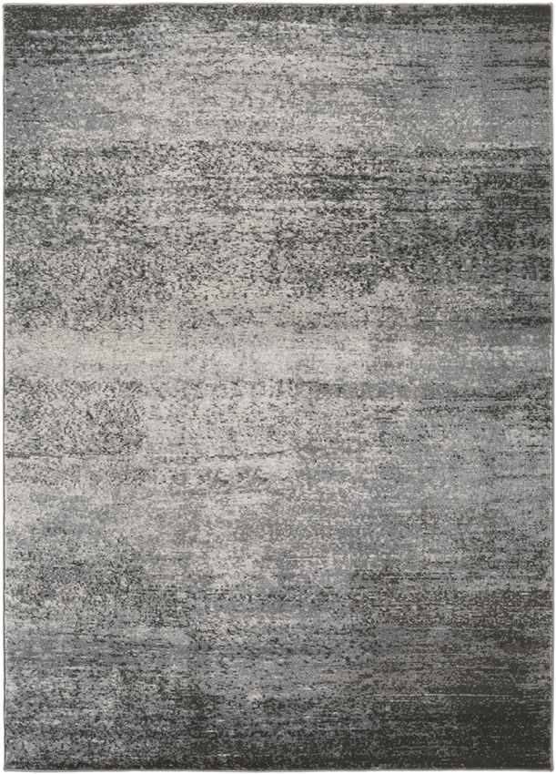 Nevers Modern Light Gray Area Rug