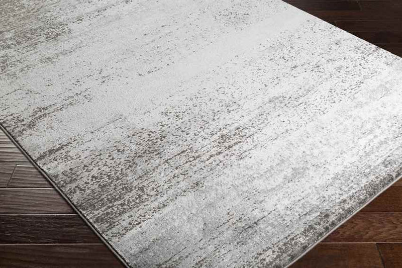 Nevers Modern Light Gray Area Rug