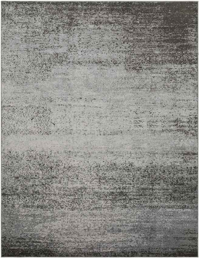 Nevers Modern Light Gray Area Rug