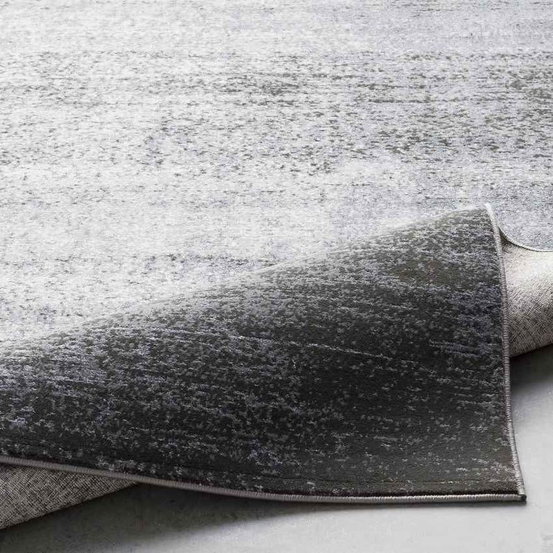 Nevers Modern Light Gray Area Rug