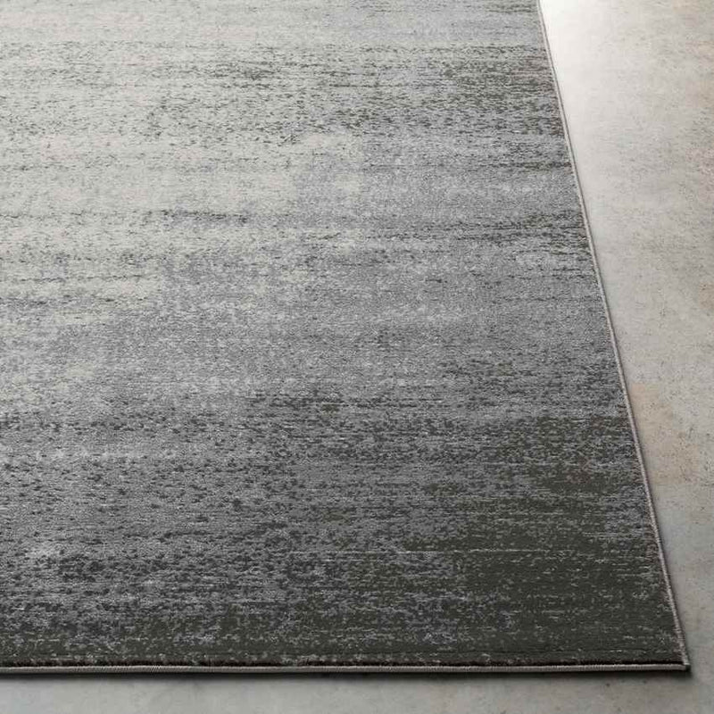 Nevers Modern Light Gray Area Rug