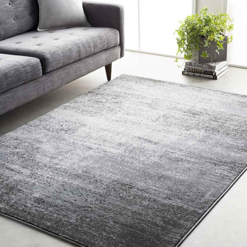 Nevers Modern Light Gray Area Rug