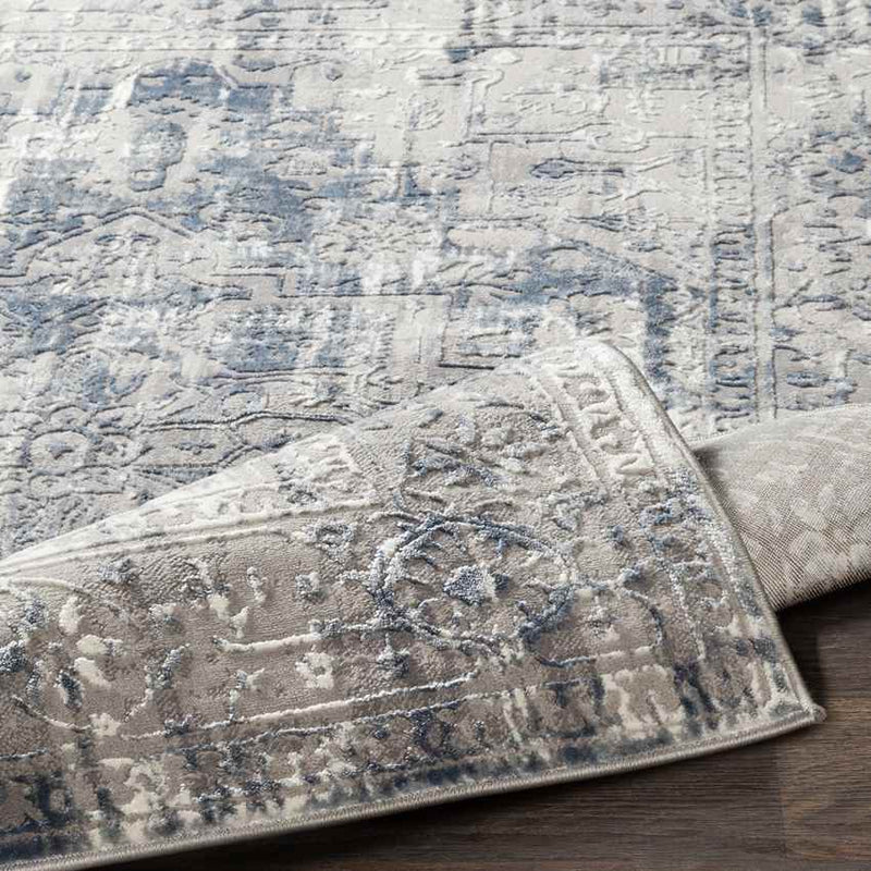 Annemasse Traditional Medium Gray Area Rug