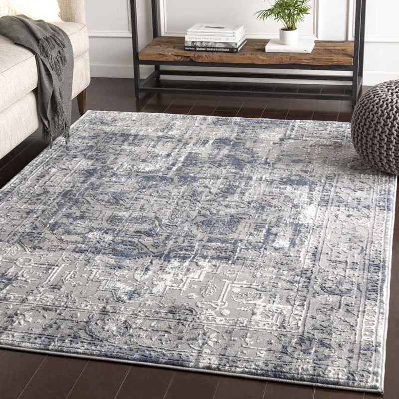 Annemasse Traditional Medium Gray Area Rug