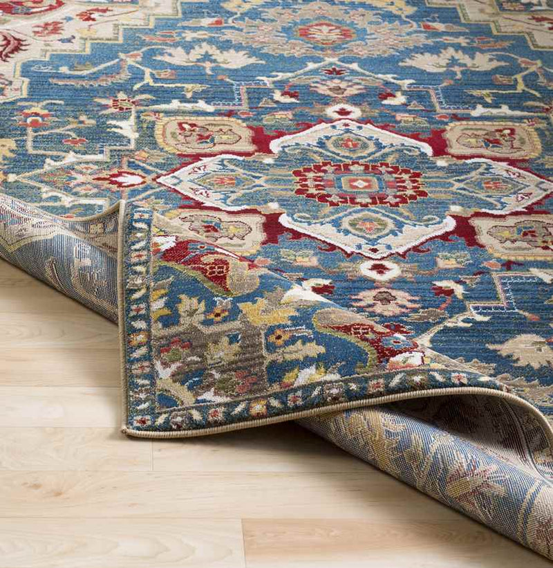 Macon Traditional Navy Area Rug