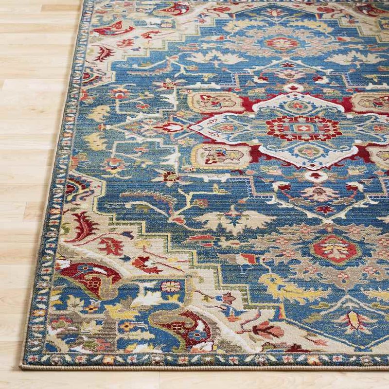 Macon Traditional Navy Area Rug