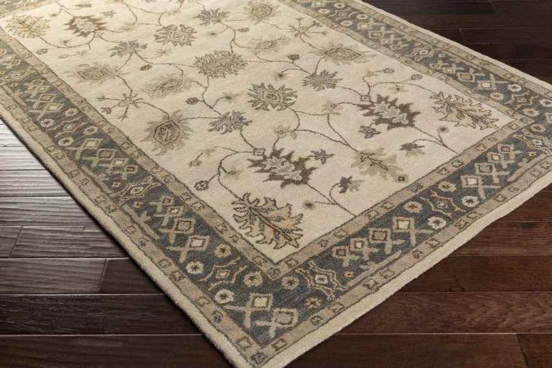 Trappes Traditional Khaki Area Rug