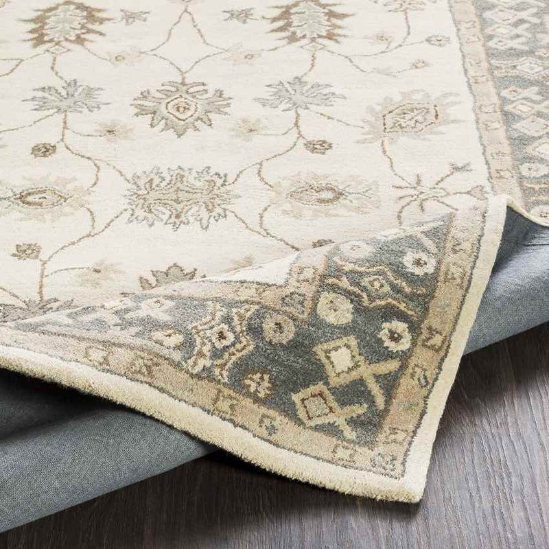 Trappes Traditional Khaki Area Rug