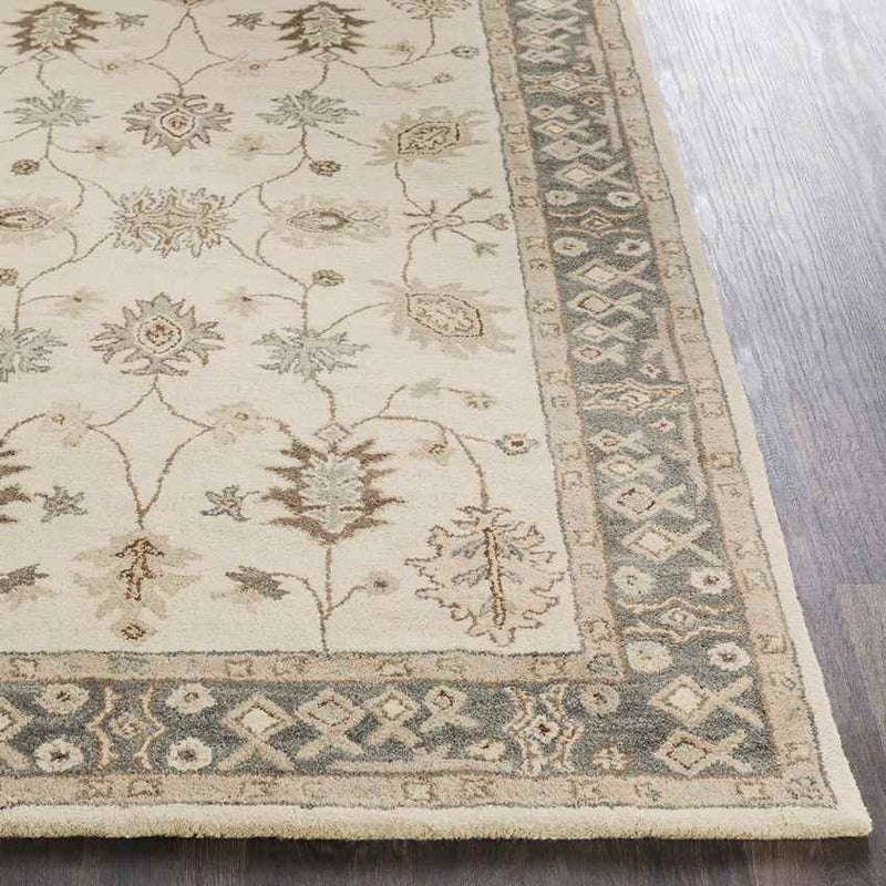 Trappes Traditional Khaki Area Rug