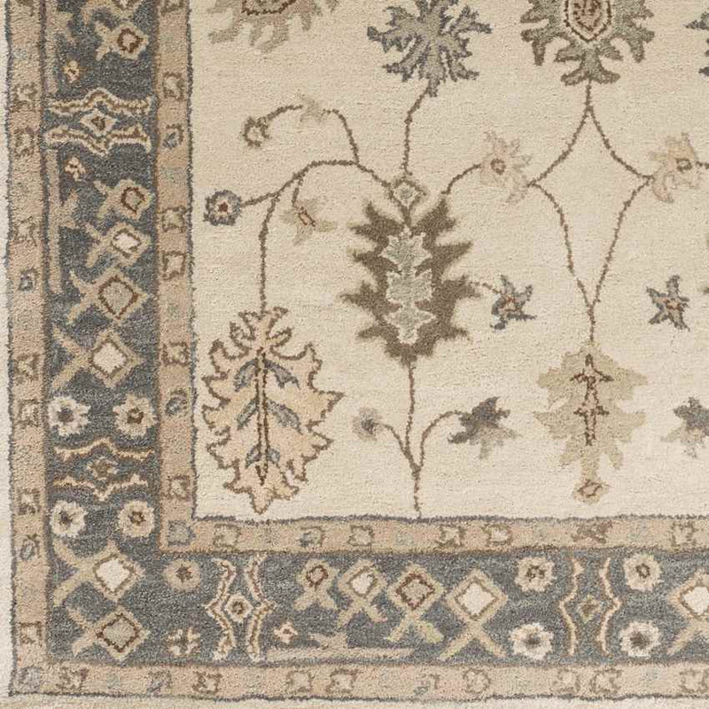 Trappes Traditional Khaki Area Rug