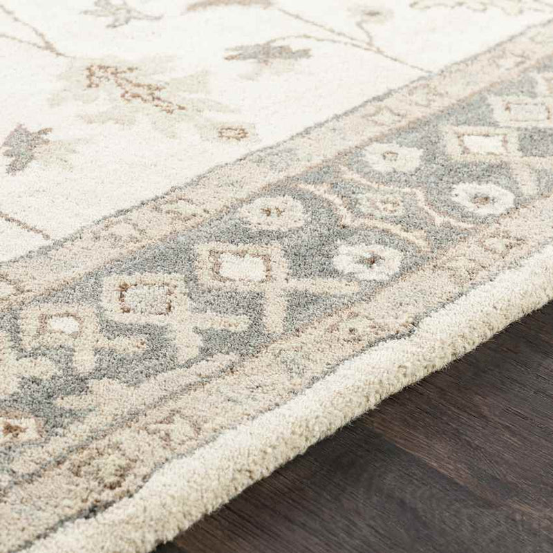 Trappes Traditional Khaki Area Rug