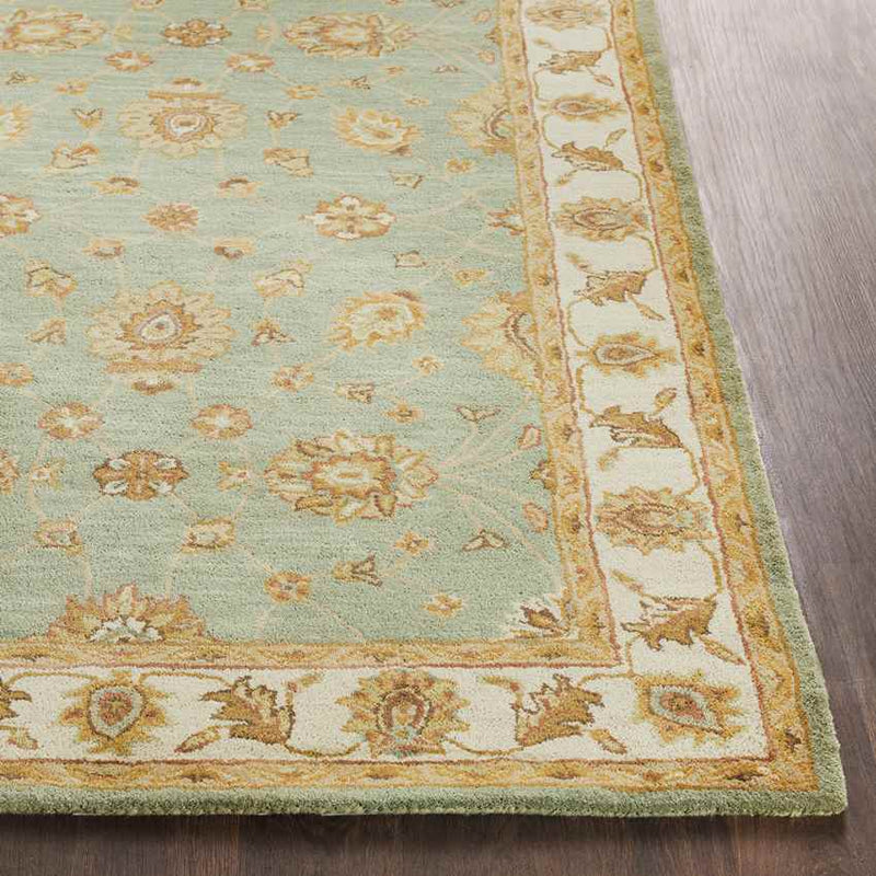 Malakoff Traditional Dark Green Area Rug