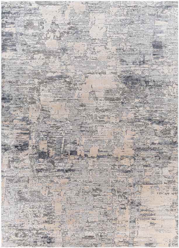 Perigueux Modern Medium Gray Area Rug