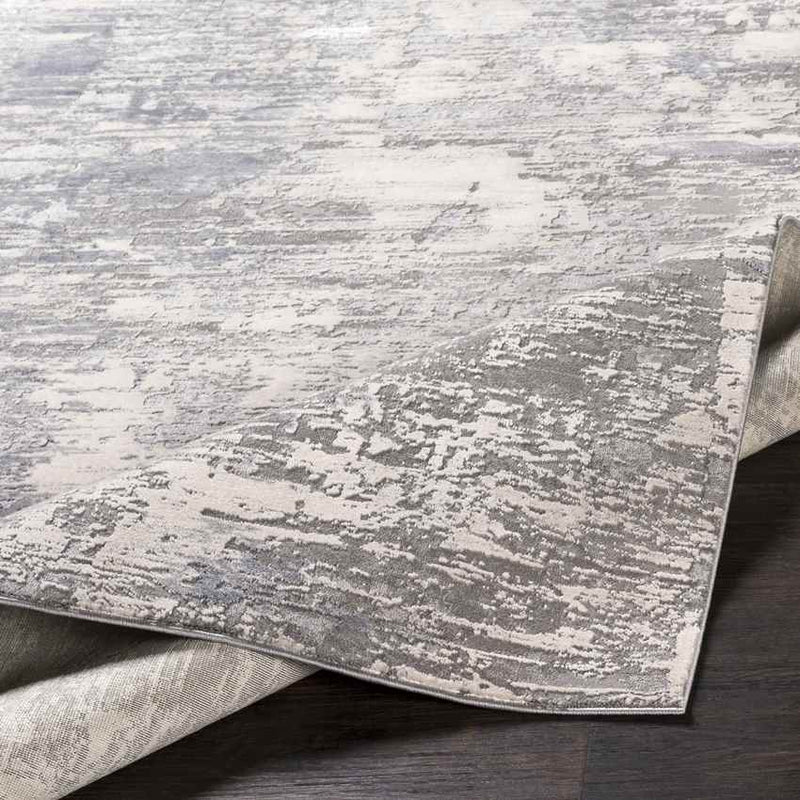 Perigueux Modern Medium Gray Area Rug