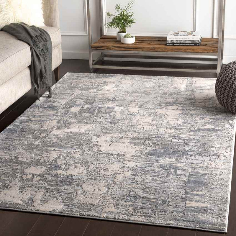 Perigueux Modern Medium Gray Area Rug