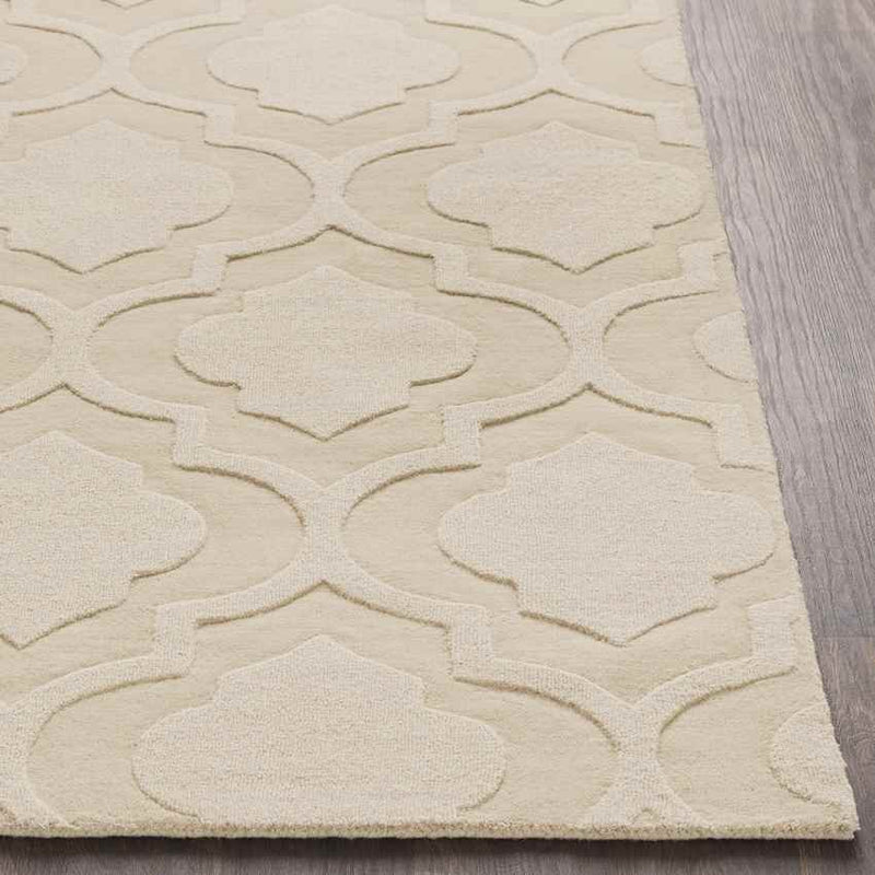 Bergerac Modern Khaki Area Rug