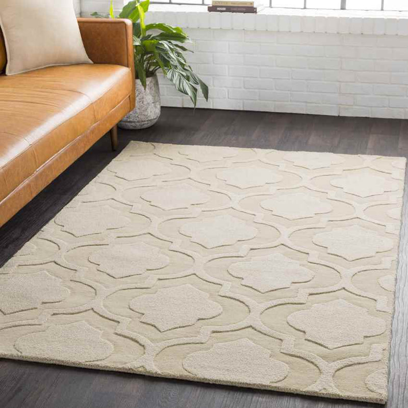 Bergerac Modern Khaki Area Rug