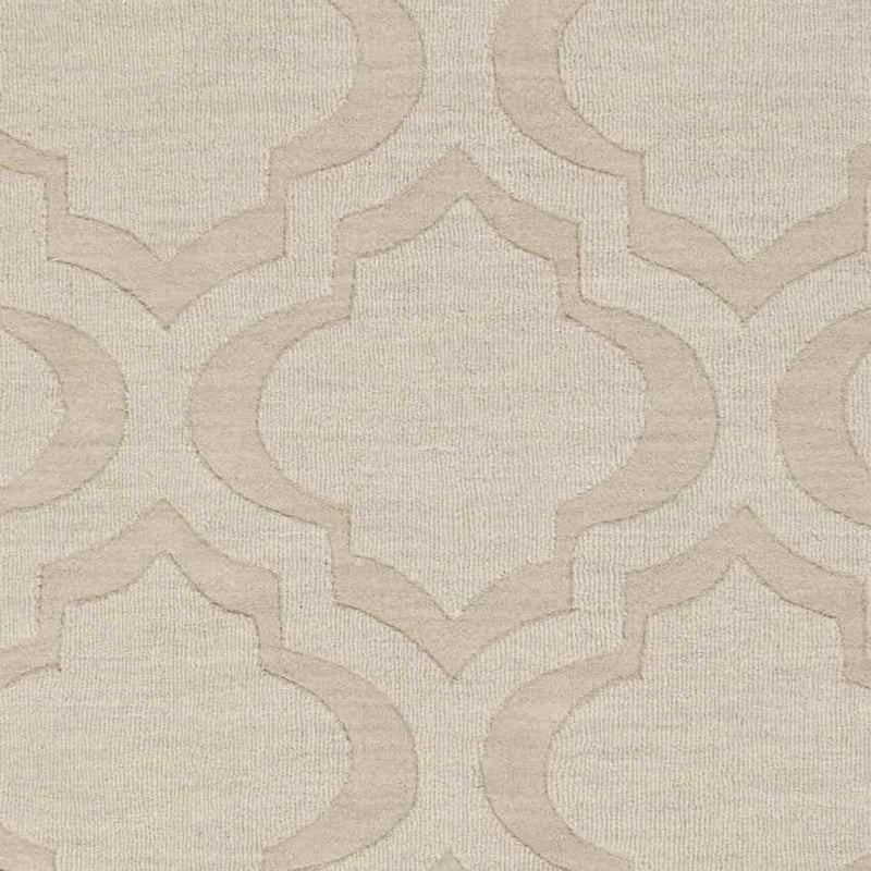 Bergerac Modern Khaki Area Rug