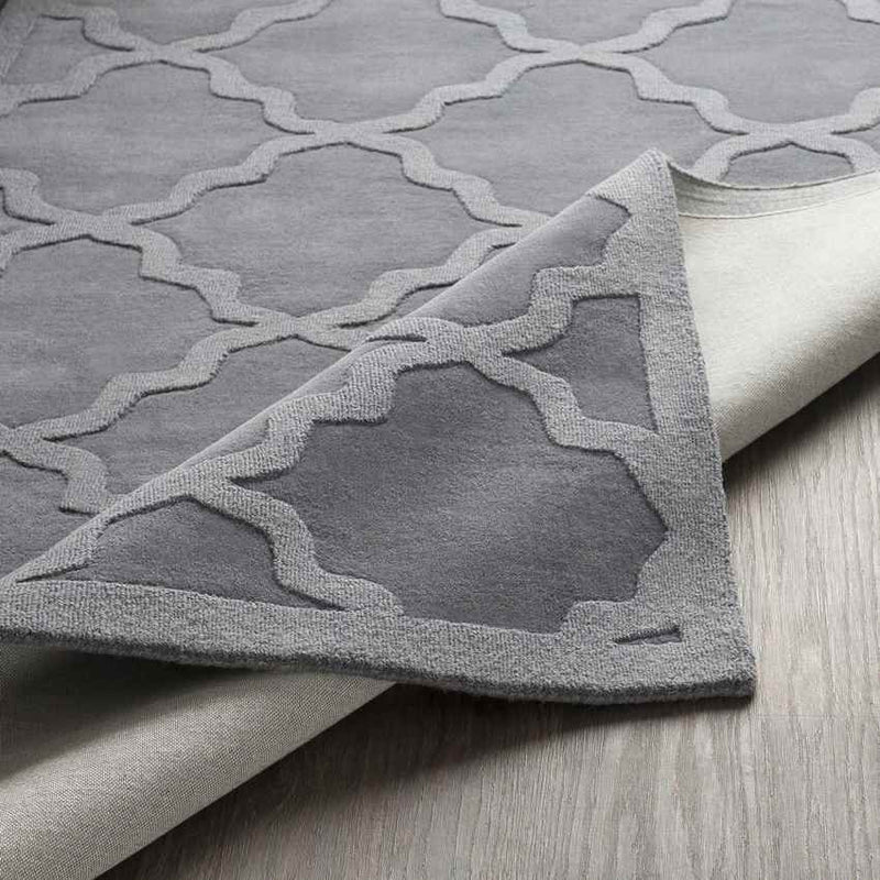 Ermont Modern Medium Gray Area Rug