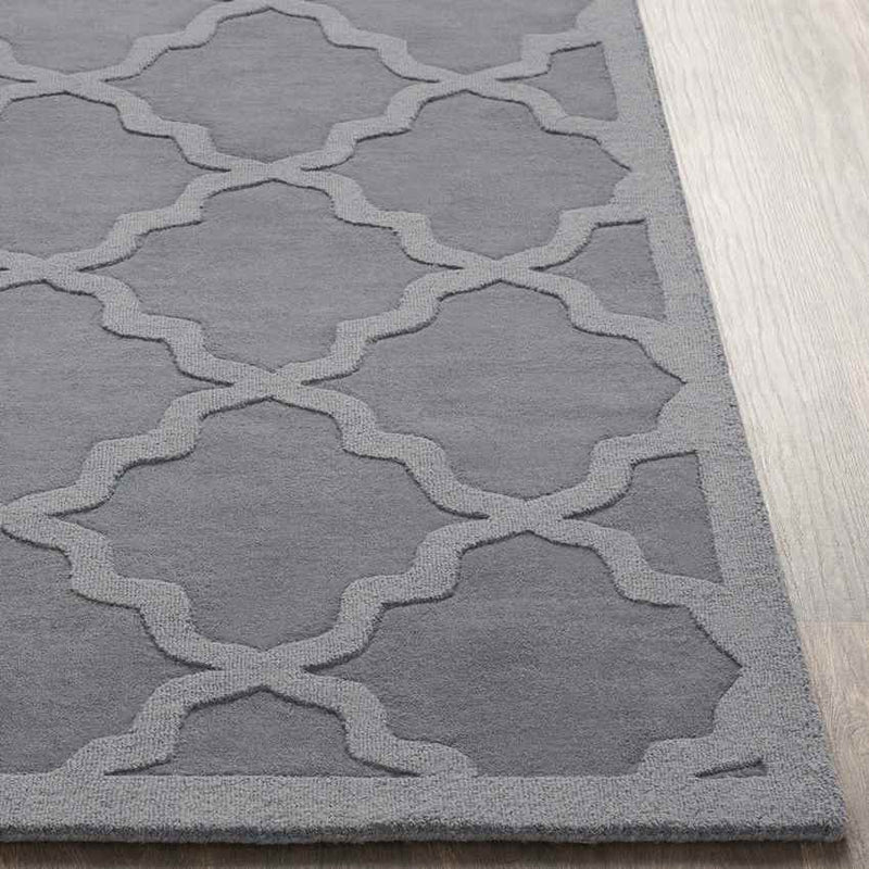 Ermont Modern Medium Gray Area Rug