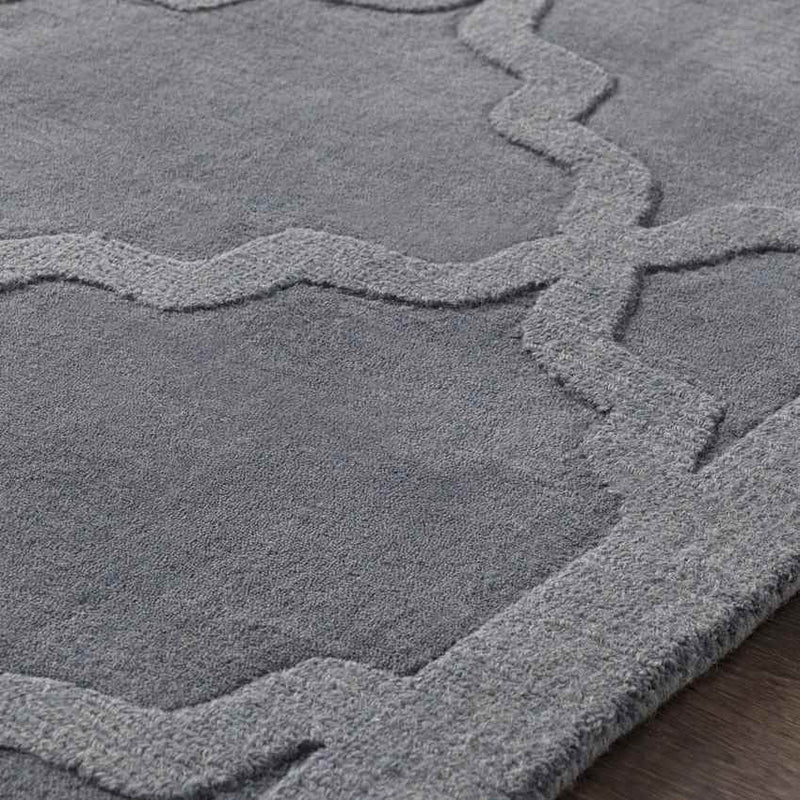 Ermont Modern Medium Gray Area Rug