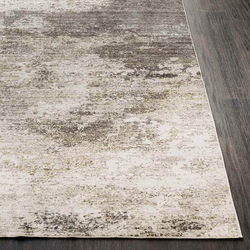 Muret Modern Beige Area Rug