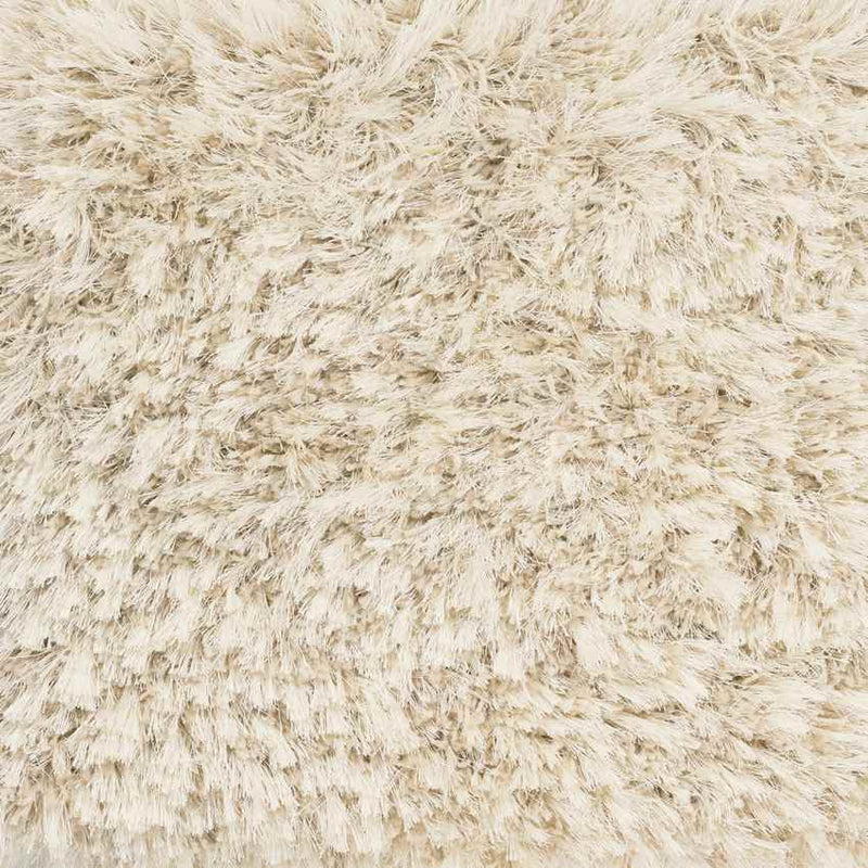 Etampes Modern Beige Area Rug