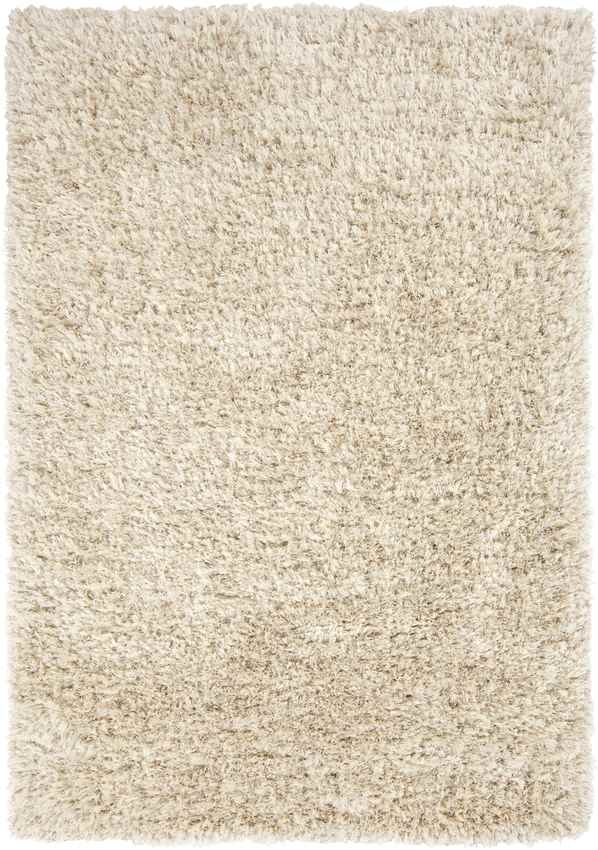 Etampes Modern Beige Area Rug