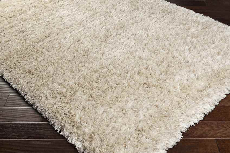 Etampes Modern Beige Area Rug