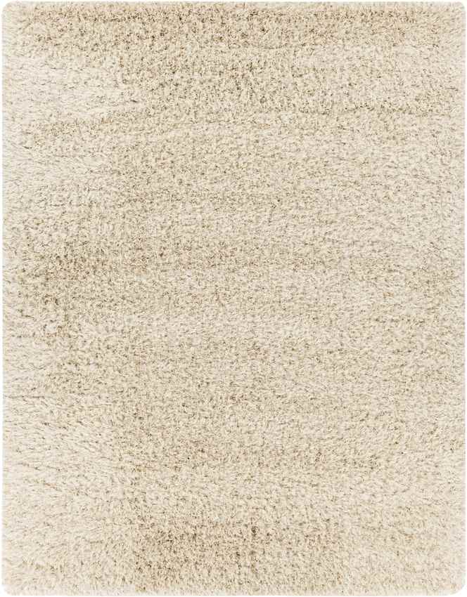 Etampes Modern Beige Area Rug