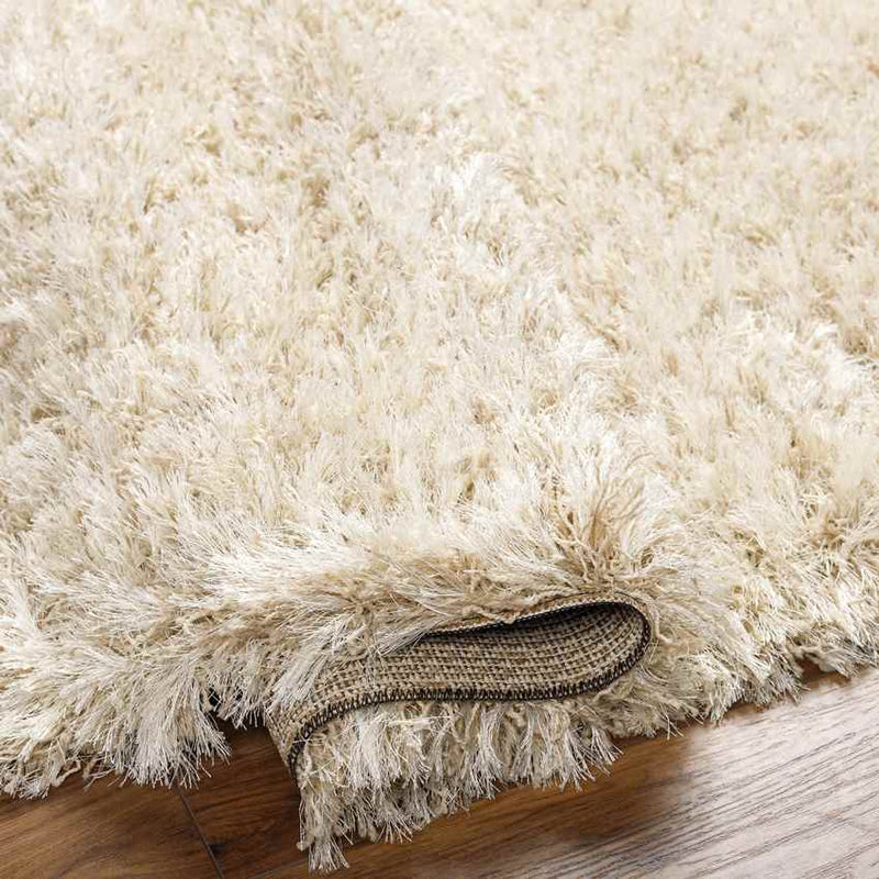 Etampes Modern Beige Area Rug