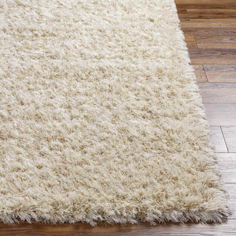 Etampes Modern Beige Area Rug