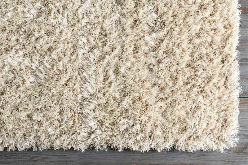 Etampes Modern Beige Area Rug