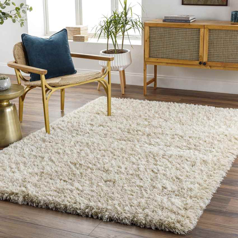 Etampes Modern Beige Area Rug