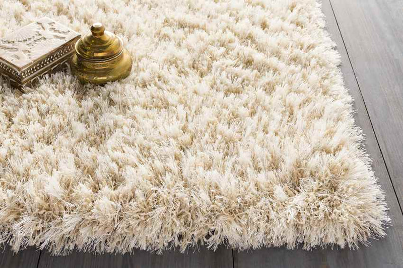 Etampes Modern Beige Area Rug