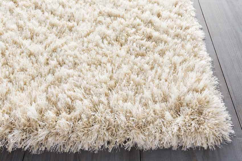 Etampes Modern Beige Area Rug