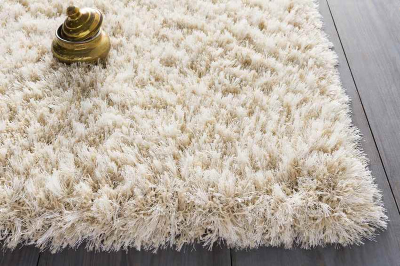 Etampes Modern Beige Area Rug